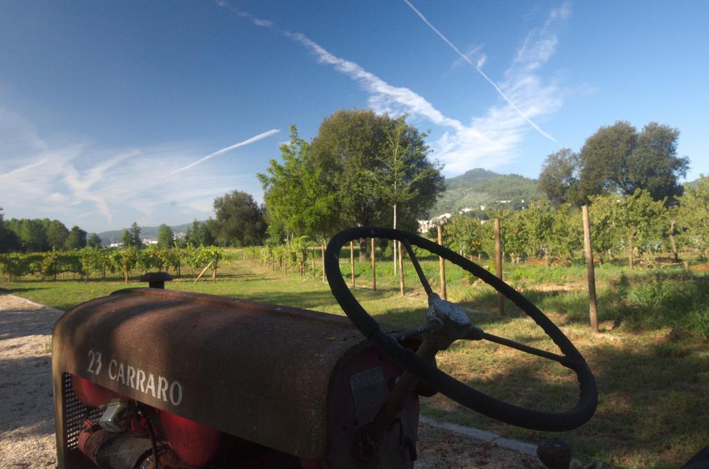 1720 Quinta Da Cancela - Winery & Farmhouse Guimarães Buitenkant foto